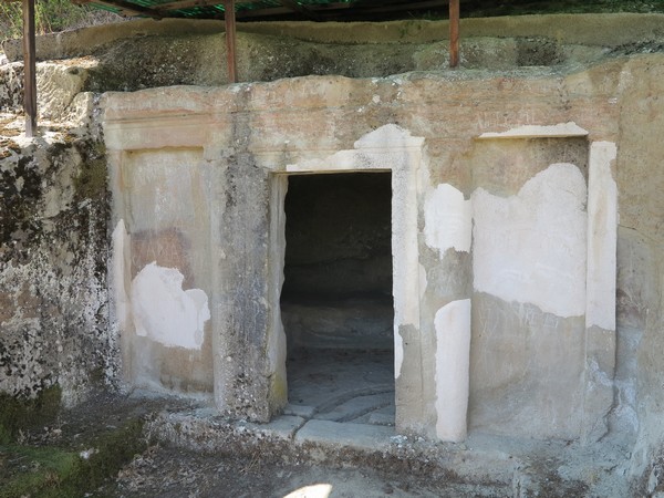Tomb1 selca